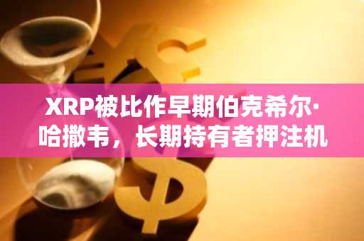 XRP被比作早期伯克希尔·哈撒韦，长期持有者押注机构应用催化剂