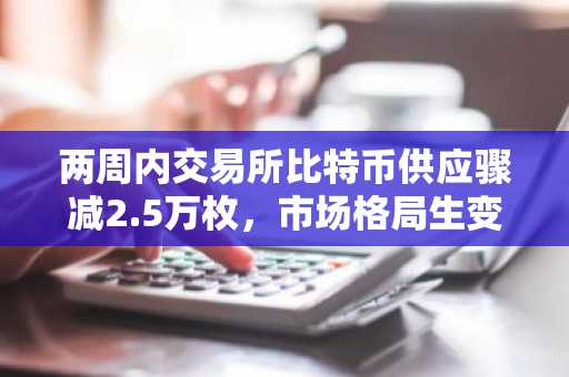 两周内交易所比特币供应骤减2.5万枚，市场格局生变