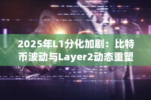 2025年L1分化加剧：比特币波动与Layer2动态重塑市场格局