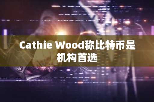 Cathie Wood称比特币是机构首选