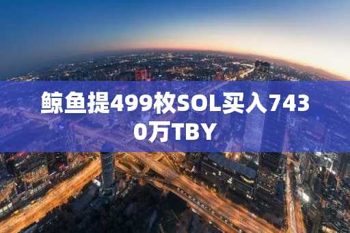 鲸鱼提499枚SOL买入7430万TBY