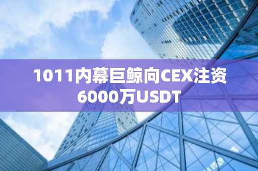 1011内幕巨鲸向CEX注资6000万USDT