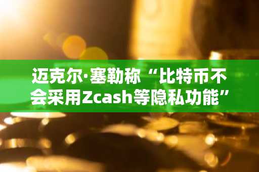 迈克尔·塞勒称“比特币不会采用Zcash等隐私功能”