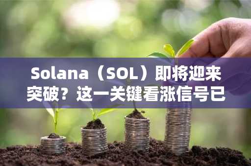 Solana(SOL)即将迎来突破?这一关键看涨信号已现端倪!