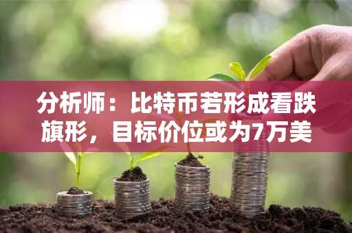 分析师：比特币若形成看跌旗形，目标价位或为7万美元