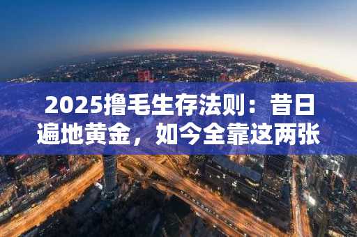 2025撸毛生存法则：昔日遍地黄金，如今全靠这两张底牌