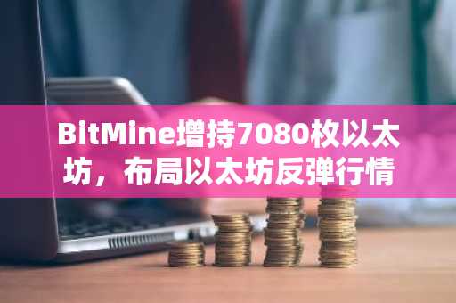BitMine增持7080枚以太坊，布局以太坊反弹行情