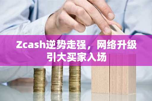 Zcash逆势走强，网络升级引大买家入场