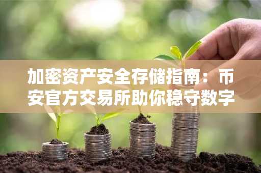 加密资产安全存储指南：币安官方交易所助你稳守数字财富