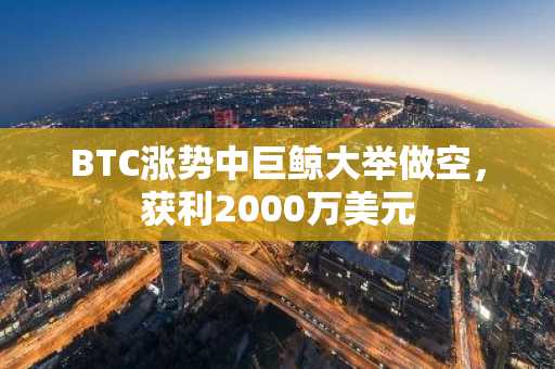BTC涨势中巨鲸大举做空，获利2000万美元