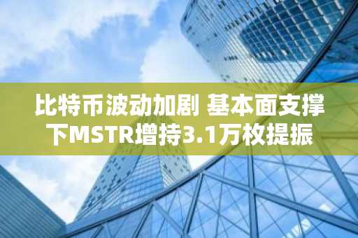 比特币波动加剧 基本面支撑下MSTR增持3.1万枚提振信心