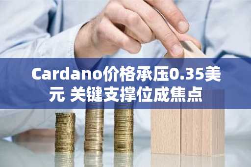 Cardano价格承压0.35美元 关键支撑位成焦点