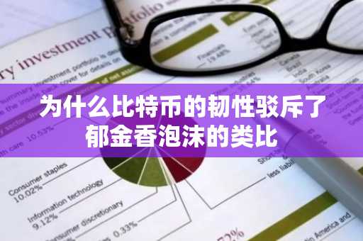 为什么比特币的韧性驳斥了郁金香泡沫的类比