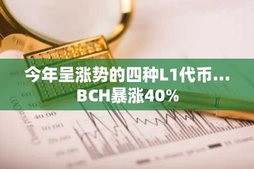 今年呈涨势的四种L1代币…BCH暴涨40%