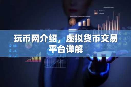 玩币网介绍，虚拟货币交易平台详解