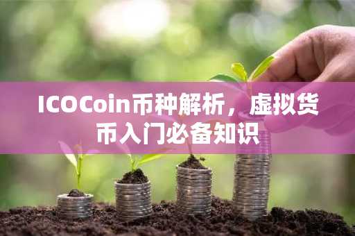 ICOCoin币种解析,虚拟货币入门必备知识