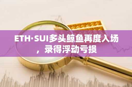 ETH·SUI多头鲸鱼再度入场，录得浮动亏损