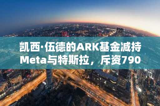 凯西·伍德的ARK基金减持Meta与特斯拉,斥资790万美元布局Trade Desk