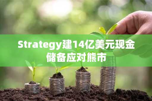 Strategy建14亿美元现金储备应对熊市