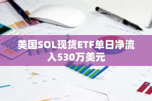 美国SOL现货ETF单日净流入530万美元