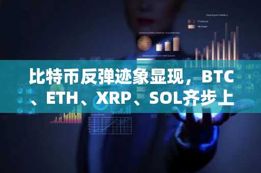 比特币反弹迹象显现，BTC、ETH、XRP、SOL齐步上涨势头明朗