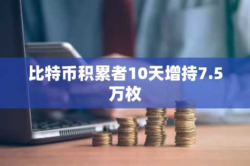 比特币积累者10天增持7.5万枚