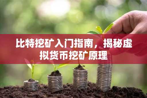 比特挖矿入门指南，揭秘虚拟货币挖矿原理