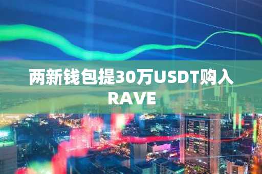 两新钱包提30万USDT购入RAVE