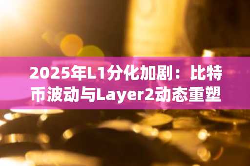 2025年L1分化加剧：比特币波动与Layer2动态重塑市场格局