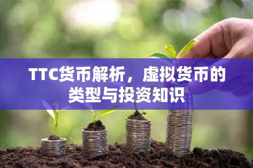 TTC货币解析，虚拟货币的类型与投资知识
