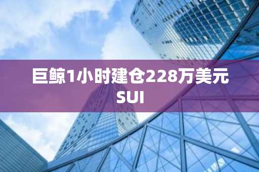 巨鲸1小时建仓228万美元SUI