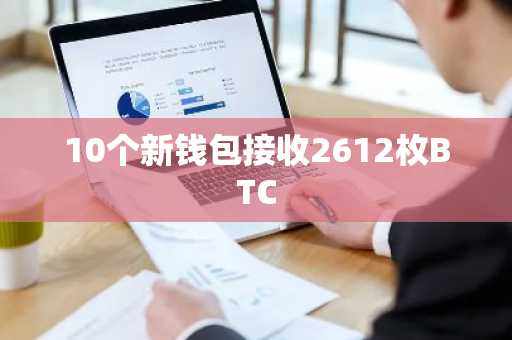 10个新钱包接收2612枚BTC