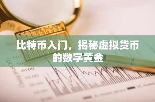 比特币入门，揭秘虚拟货币的数字黄金