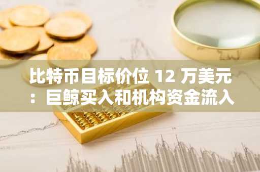 比特币目标价位 12 万美元：巨鲸买入和机构资金流入预示着牛市反弹