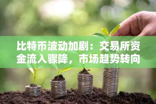 比特币波动加剧：交易所资金流入骤降，市场趋势转向谨慎