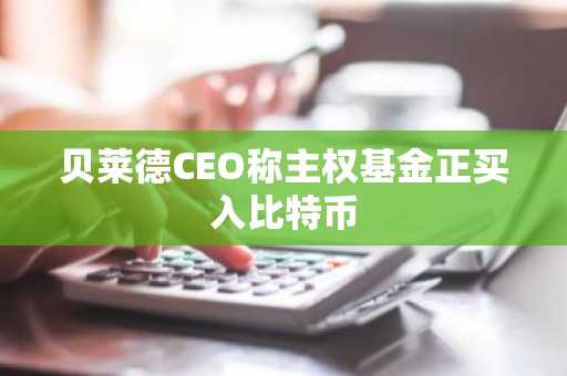 贝莱德CEO称主权基金正买入比特币