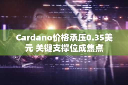 Cardano价格承压0.35美元 关键支撑位成焦点