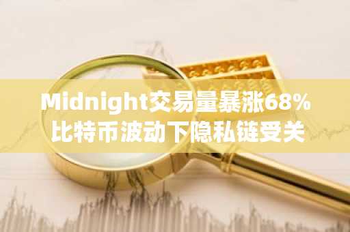 Midnight交易量暴涨68% 比特币波动下隐私链受关注