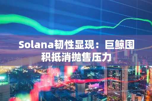 Solana韧性显现:巨鲸囤积抵消抛售压力