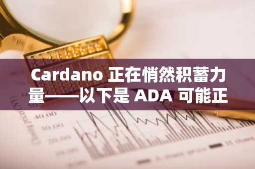 Cardano 正在悄然积蓄力量——以下是 ADA 可能正在为下一步行动做准备的原因。