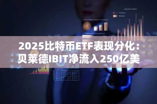 2025比特币ETF表现分化：贝莱德IBIT净流入250亿美元