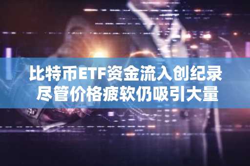 比特币ETF资金流入创纪录 尽管价格疲软仍吸引大量长期资本