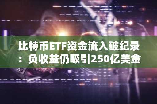 比特币ETF资金流入破纪录：负收益仍吸引250亿美金，长期持有趋势凸显