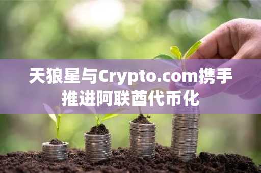 天狼星与Crypto.com携手推进阿联酋代币化