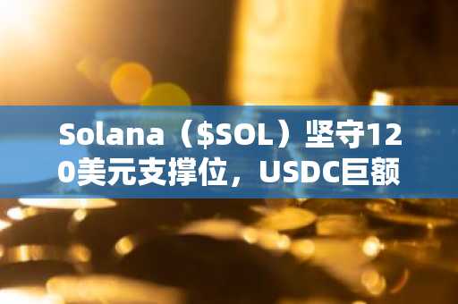 Solana（$SOL）坚守120美元支撑位，USDC巨额流入30万亿韩元未能提振交易量