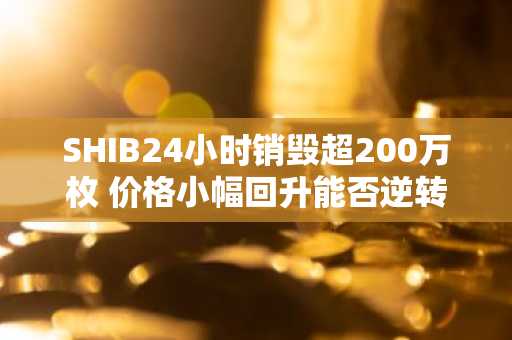 SHIB24小时销毁超200万枚 价格小幅回升能否逆转年末颓势？
