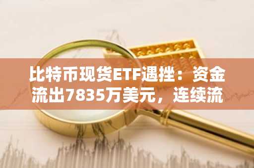 比特币现货ETF遇挫：资金流出7835万美元，连续流入势头中断