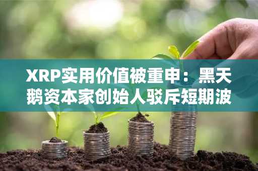 XRP实用价值被重申：黑天鹅资本家创始人驳斥短期波动焦虑